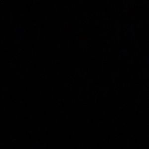 Meet your Posher, Priscilla